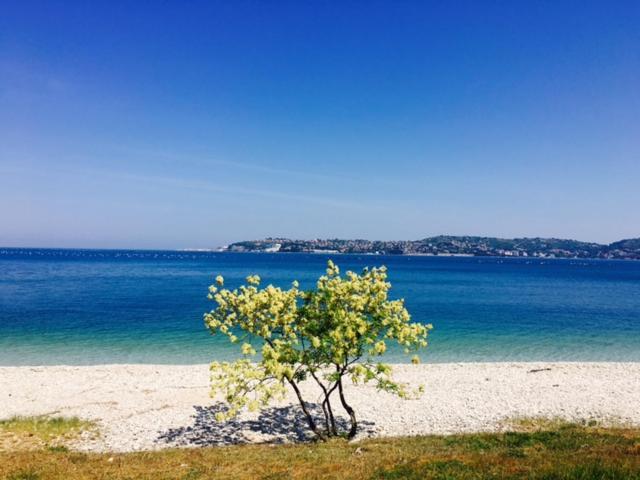 Apartment Umag Nelly Εξωτερικό φωτογραφία
