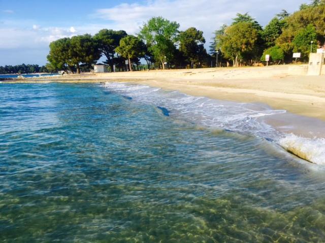 Apartment Umag Nelly Εξωτερικό φωτογραφία