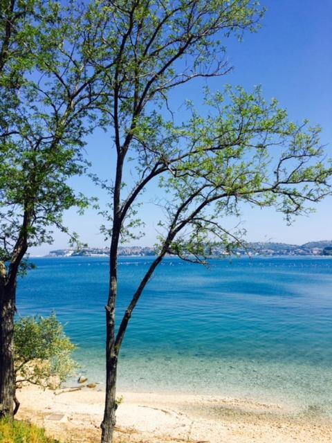 Apartment Umag Nelly Εξωτερικό φωτογραφία