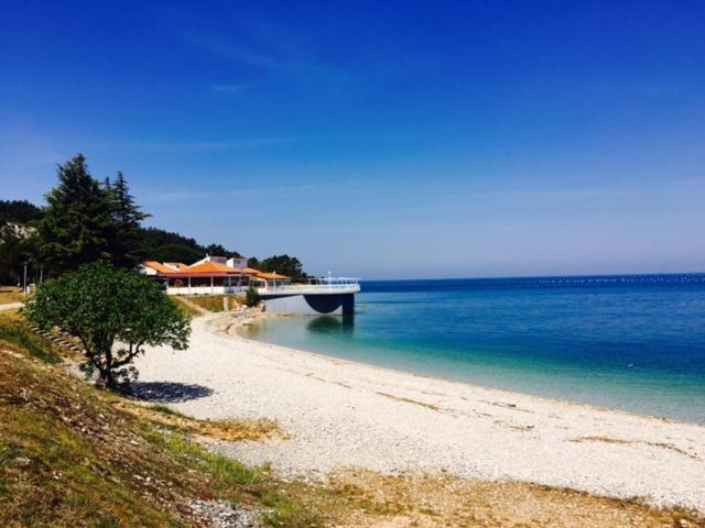 Apartment Umag Nelly Εξωτερικό φωτογραφία