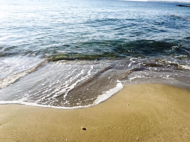 Apartment Umag Nelly Εξωτερικό φωτογραφία