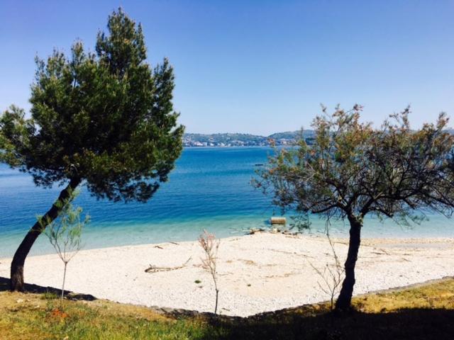 Apartment Umag Nelly Εξωτερικό φωτογραφία