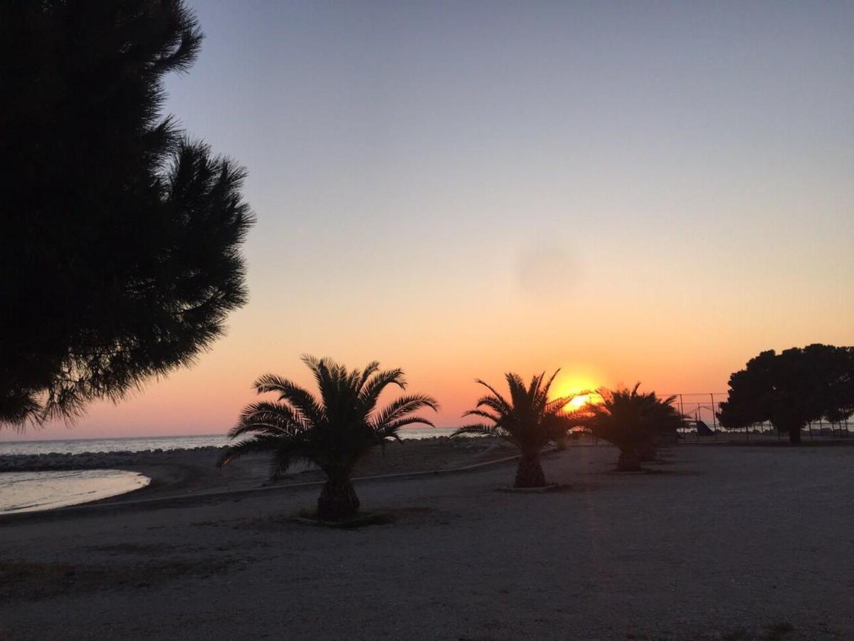 Apartment Umag Nelly Εξωτερικό φωτογραφία