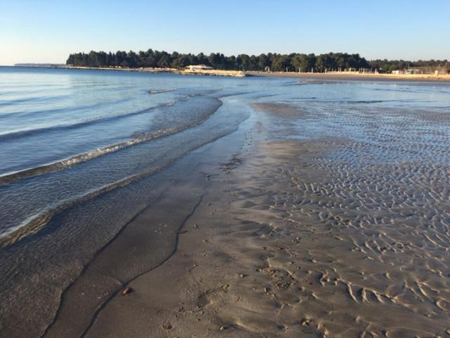 Apartment Umag Nelly Εξωτερικό φωτογραφία